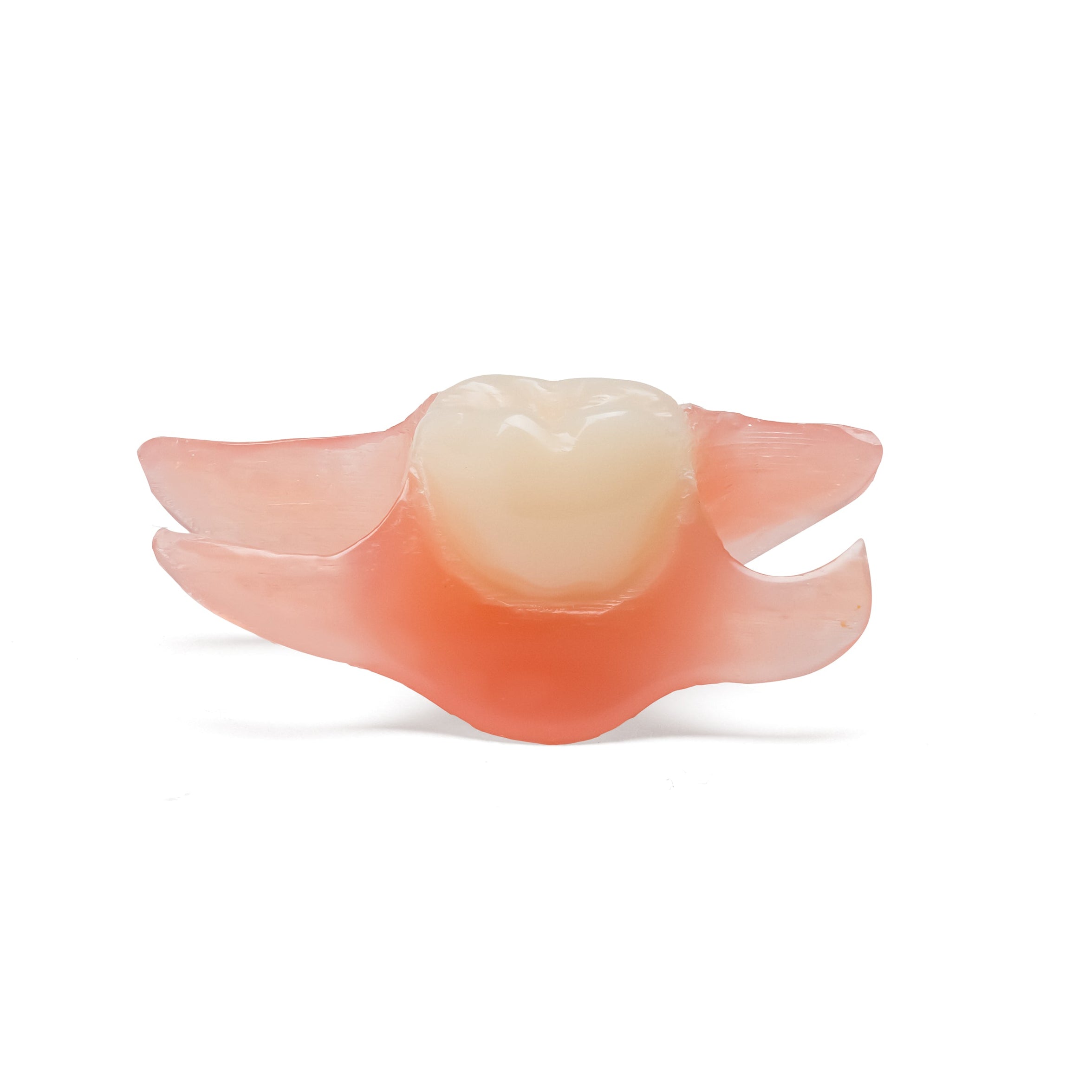 Single posterior back tooth flexible partial denture on white background.