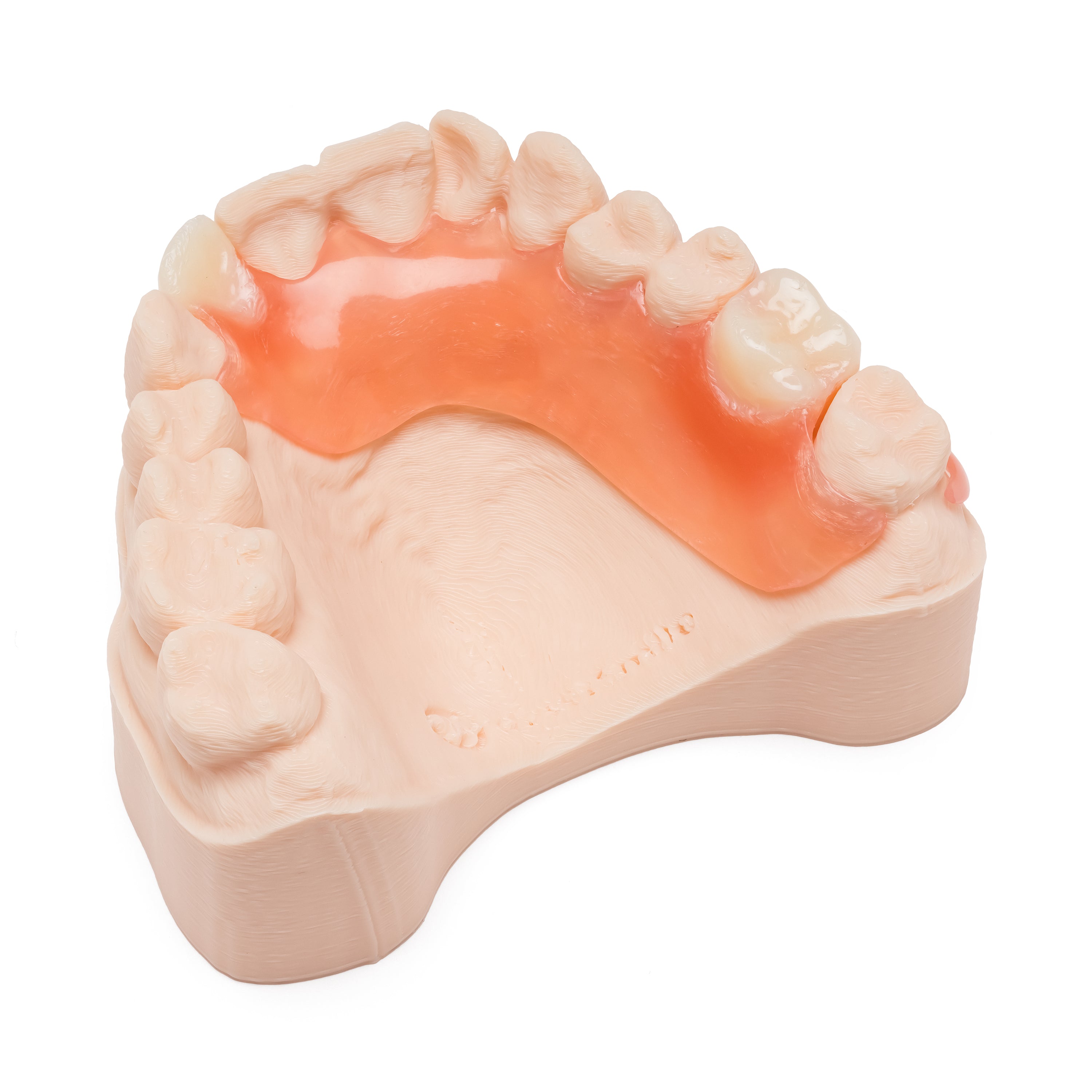 Pink and white partial denture with multiple teeth on a dental model on a white background