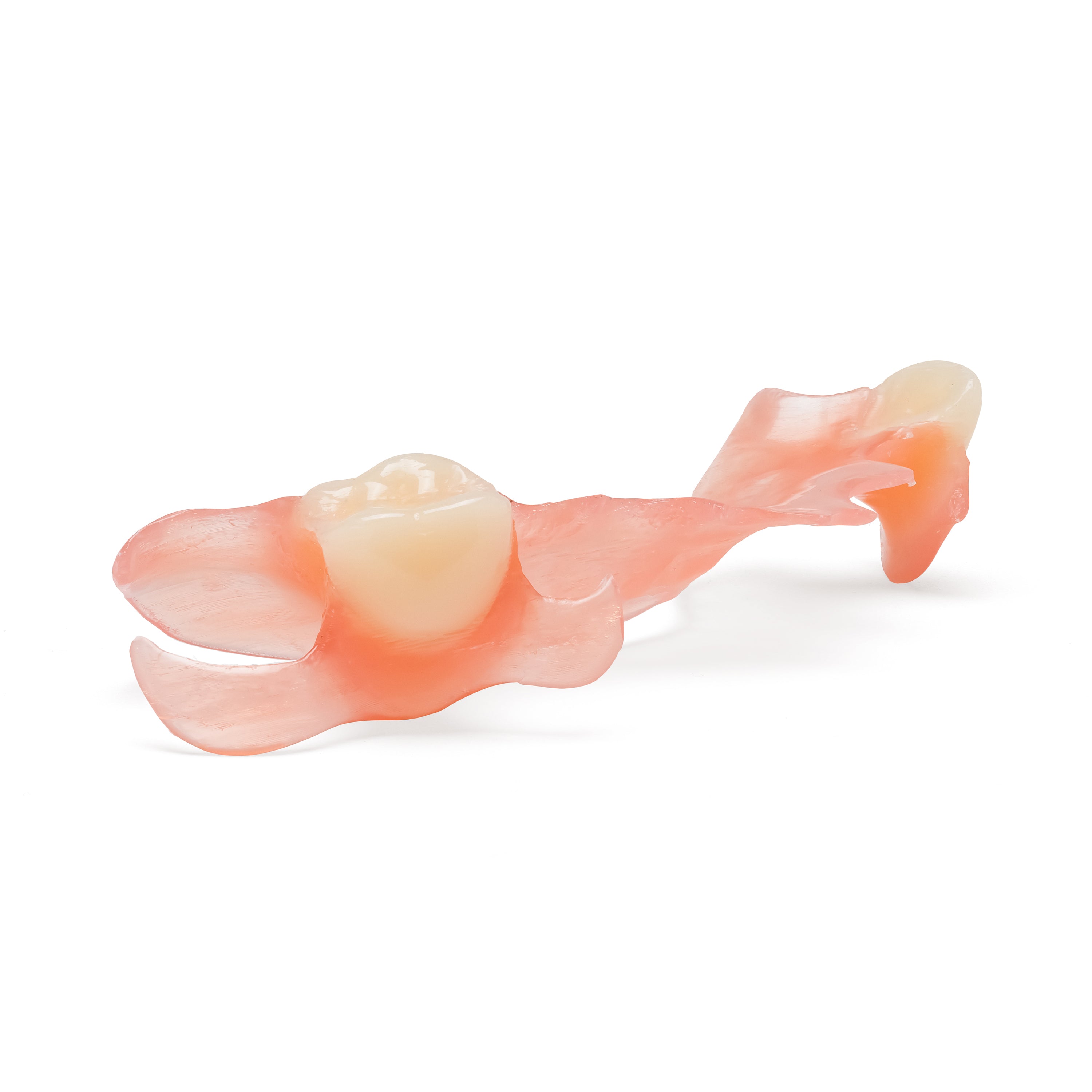 Pink and white partial denture with mutliple teeth on a white background