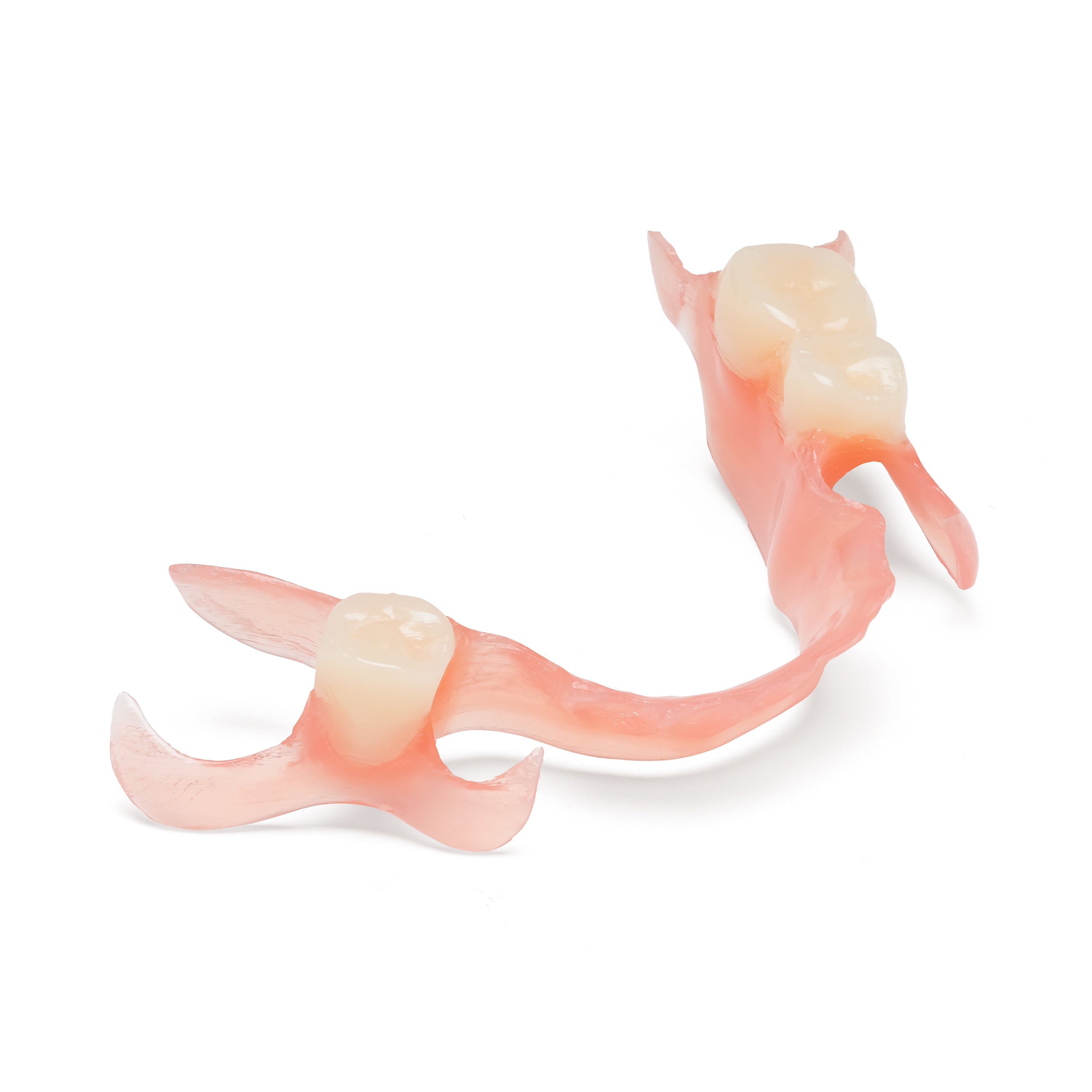 Pink and white partial denture with mutliple teeth on a white background