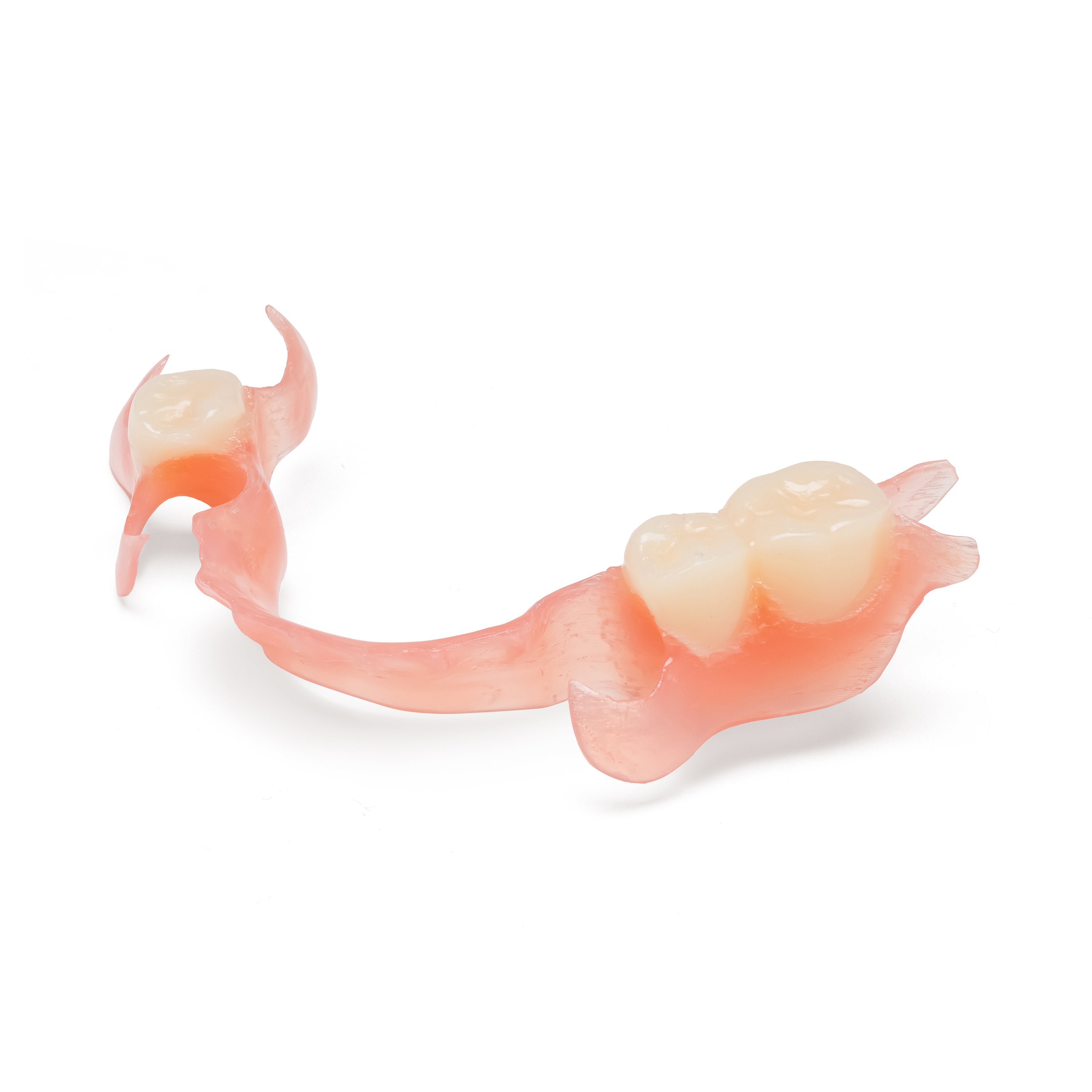 Pink and white lower partial denture with multiple teeth on a white background