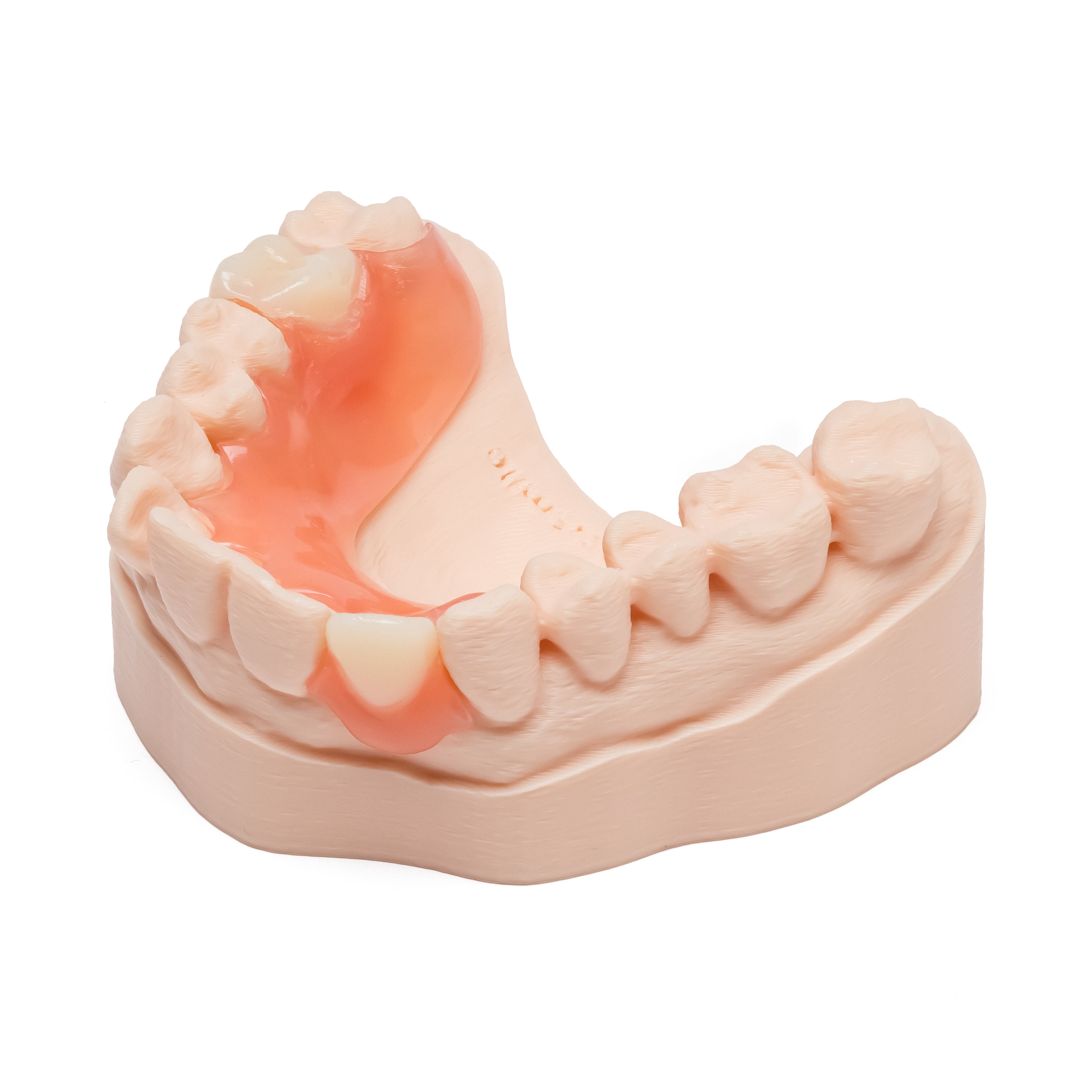 Pink and white partial denture with mutliple teeth on a dental model on a white background