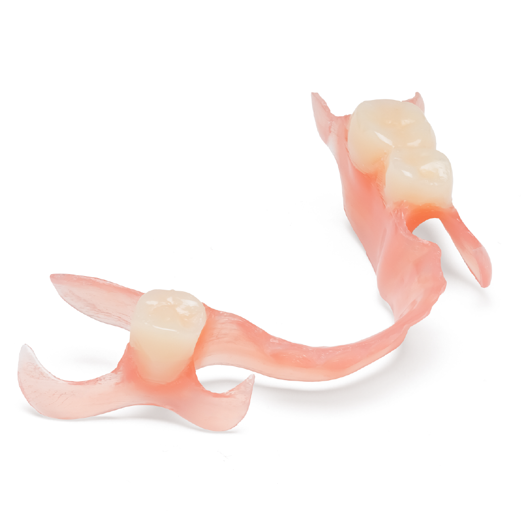 One Arch Lower Partial Denture